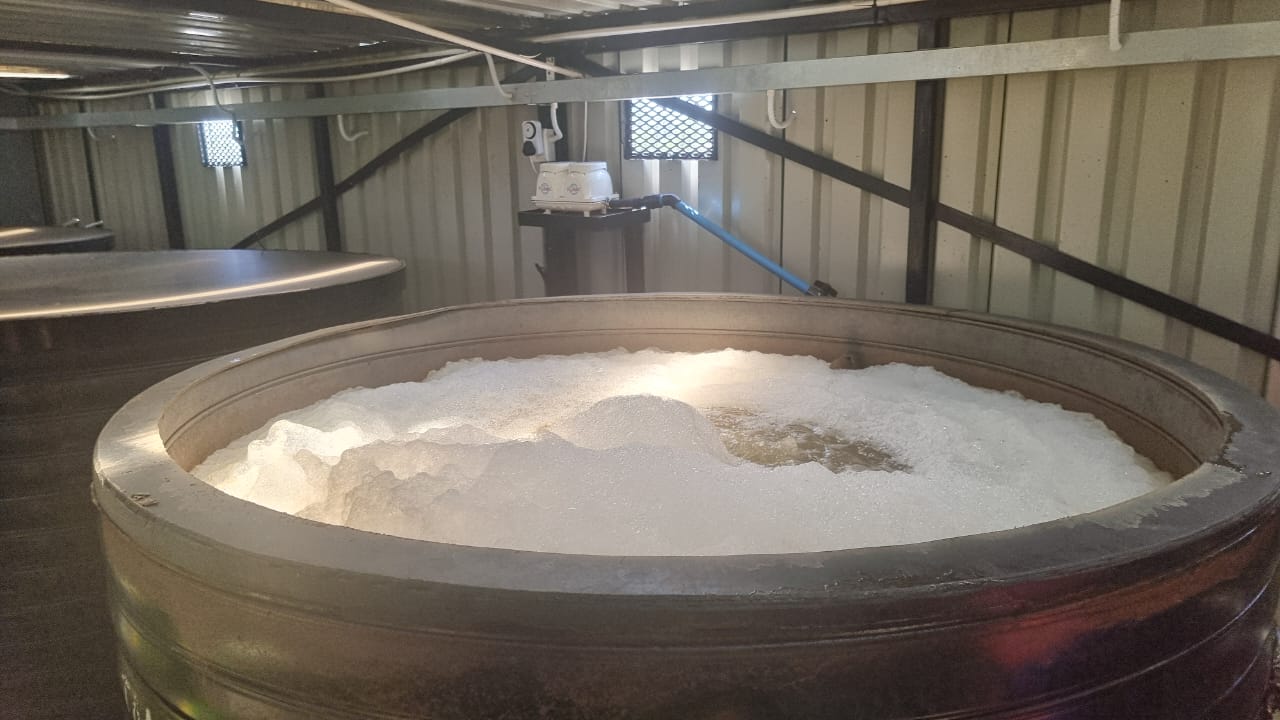 Froth and colour in a treatment compartment