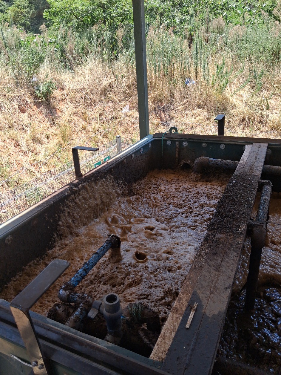 Heavy brown froth on the surface of an aerated treatment compartment