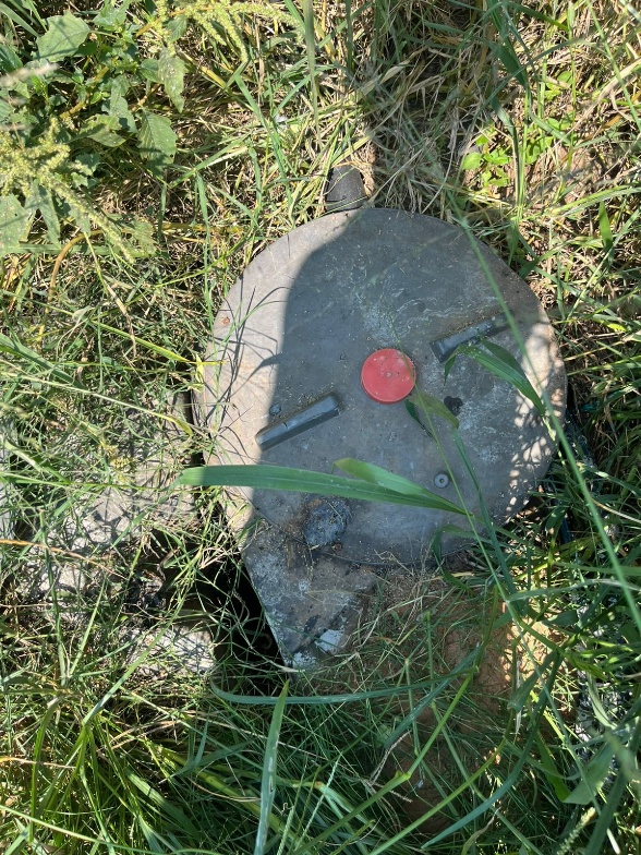 A buried septic/conservancy tank access lid with an inspection cap in grass